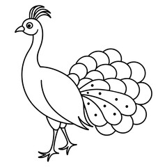 peacock