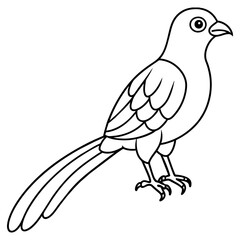 quetzal