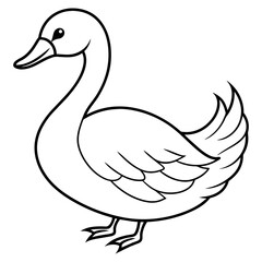 swan