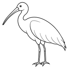 spoonbill