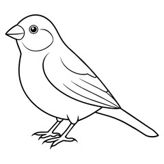 canary