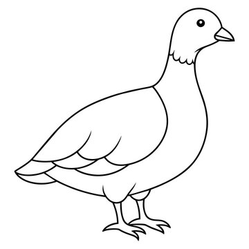 recommend clip art: ptarmigan