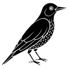 starling