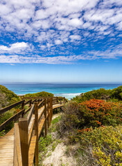 Fototapeta premium Wooden path leading to beautiful beach, Esperance Western Australia