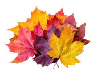 Naklejka na ściany i meble Colorful Autumn Leaves Bundle