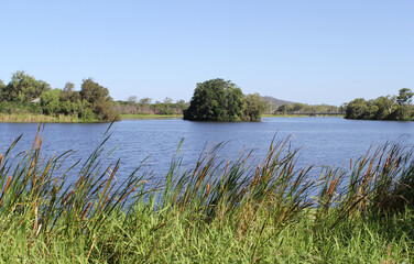 View of Lake Callemondah with water, an island and reeds in Gladstone, Queensland, Australia