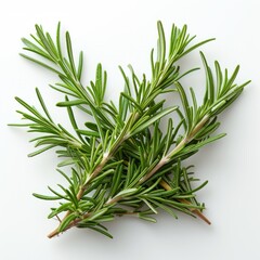 Fototapeta premium White background decorated with rosemary branches This image captures the simplicity and elegance of herbs. It reveals intricate foliage against a clean, neutral backdrop.