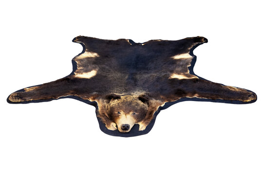 Vintage brown bear rug isolated png for home deco. selective focus.