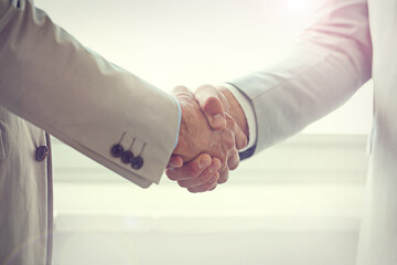 Handshake, business people and agreement in partnership, networking and thank you for recruitment. Coworkers, closeup and welcome or introduction in office, collaboration and support in cooperation - obrazy, fototapety, plakaty