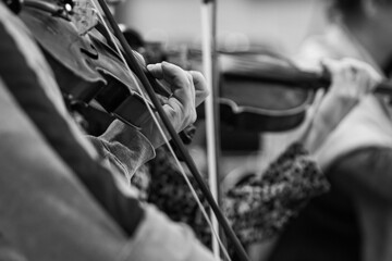  Hands of a musician playing the violin in an orchestra in black and white - obrazy, fototapety, plakaty