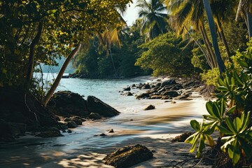Tropical beach blue water blue sky and sun