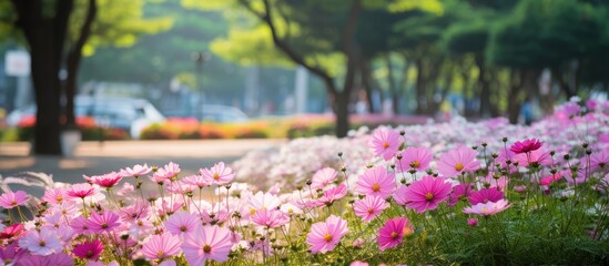 floral display, the beautiful pink petals of the summer flowers added a natural touch of beauty to the park