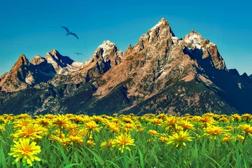 Zelfklevend Fotobehang Natural view of flowers with mountains and blue sky in the background. © Waypixel