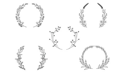 Obraz premium Floral Laurel Wreath Vector