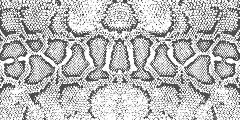 skin snake texture pattern boa black white print