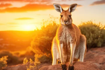 Fotobehang A kangaroo stands confidently on top of a massive rock, showcasing its agility and strength. © pham