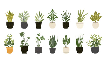 Watercolor Illustrations of Popular House Plants in Pots, Set of Deciduous Indoor Plants, Isolated on Transparent Background