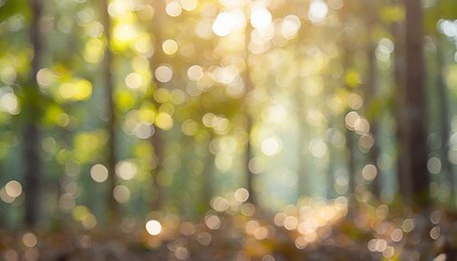 Early morning, sunny forest bokeh background.