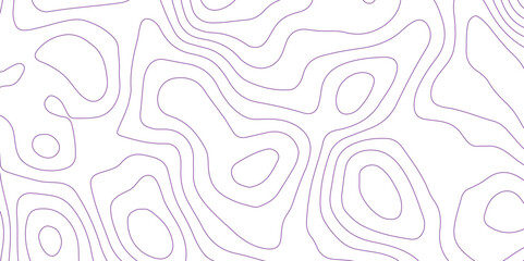 Abstract background with topographic contours map .white wave paper and geographic purple line abstract background .vector illustration of topographic line contour map design .