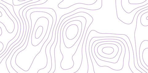 Abstract background with topographic contours map .white wave paper and geographic purple line abstract background .vector illustration of topographic line contour map design .