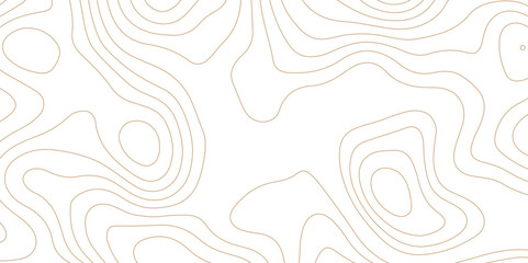 Abstract background with topographic contours map .white wave paper and geographic golden line abstract background .vector illustration of topographic line contour map design . - obrazy, fototapety, plakaty