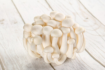 Japanese Shimeji mushroom for cooking