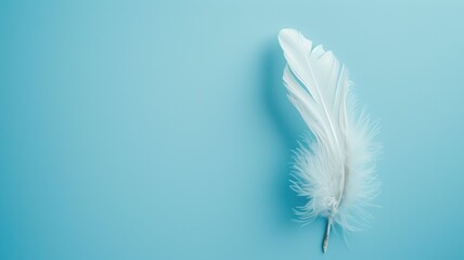 A single soft white feather isolated on a blue background