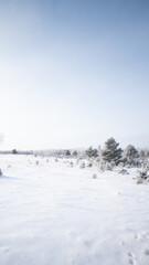 Fototapeta premium snow on the river