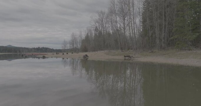 Ungraded 4k low altitude aerial trucking footage flying above a reflective lake on a cloudy, winter morning at Alder Lake in Washington State.