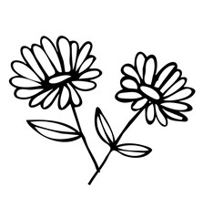Flower Line Art Illustration, Aesthetic floral hand drawn 