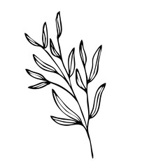 Floral leaves line art vector illustration, flower line art illustration