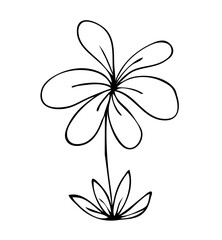 Flower Line Art Illustration, Aesthetic floral hand drawn 