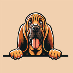 Bloodhound peeking face illustration vector
  - obrazy, fototapety, plakaty