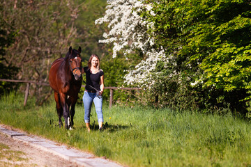 Young woman with horse in spring in nature.