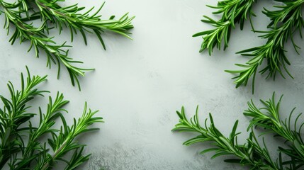 Top view of natural rosemary With space available for copying or additional elements. This photo shows off the bright greenery. and is flexible for a variety of designs or presentations. - obrazy, fototapety, plakaty