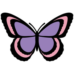 Purple & Pink Butterfly