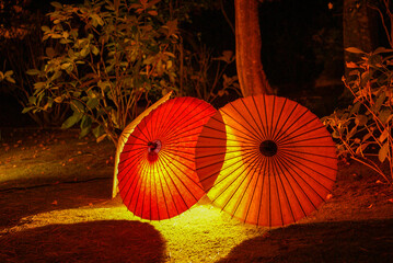 Cultural Shades: Japanese Umbrellas beneath Autumn Leaves