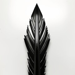 Black quill isolated on white background.