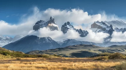 Cercles muraux Cuernos del Paine Torres del Paine