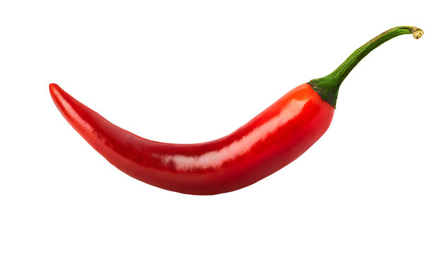 Chili png hot chili png red chili png pepper png hot pepper png  chili pepper png vegetable png chili transparent background