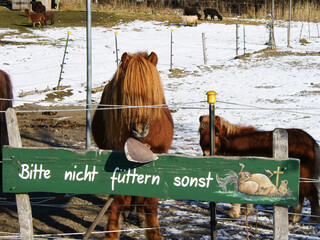 Schild verbietet es, Pferde zu füttern