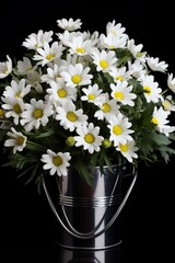 Bouquet of white daisies on a black background.