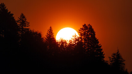 The sun setting behind trees with a smoky sky from forest fires