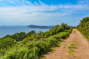 bike and hiking trail in Buyukada Nature Park (Adalar, Turkey)