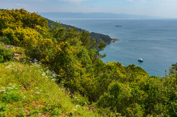 Eskibag Cove on Buyukada island (Adalar, Turkey)