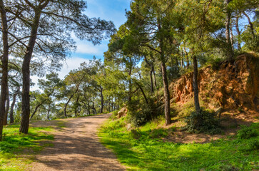 trail on Büyükada İsa Tepesi (Buyukada Isa Hill) on Adalar (Princes' Islands), Turkey