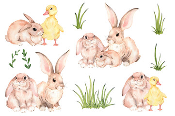 Bunny and little duck сute easter composition. Hand-drawn watercolor illustration, isolated on white background.