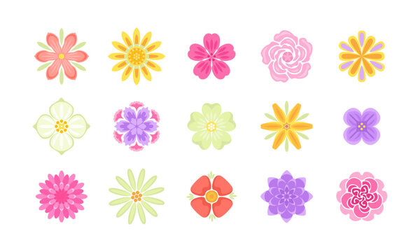 Abstract flat flowers icon set. Collection of simple floral motifs. Vector illustration.