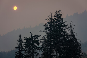 Sun in a smoky sky from wildfires in the mountains 