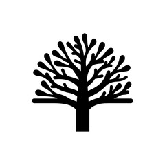 Fototapeta premium Beech forest tree icon